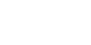MindGee Technologies